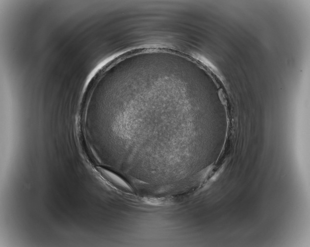 X0000086760928200704271727