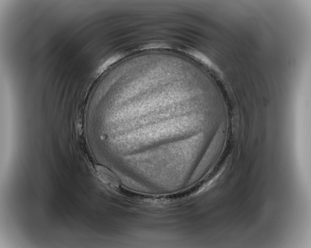 X0000086760929200704271727