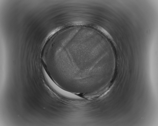 X0000086760930200704271727