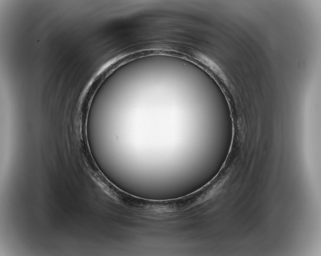 X0000086760931200704271727