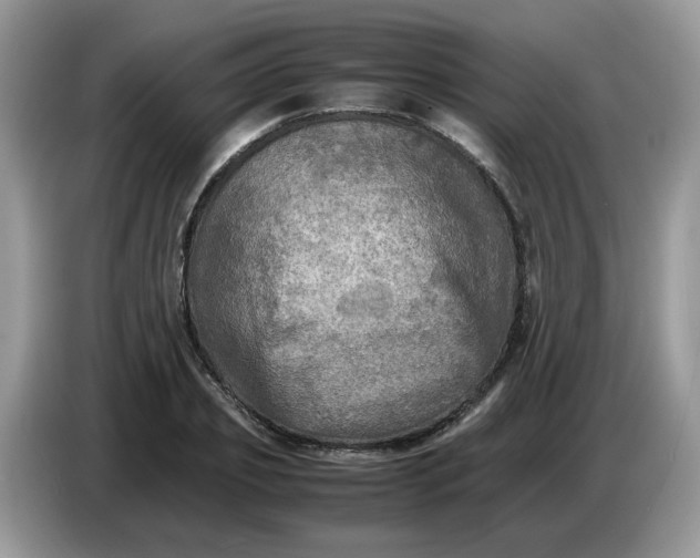 X0000086760933200704271727