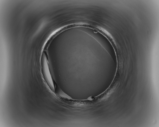 X0000086760935200704271727