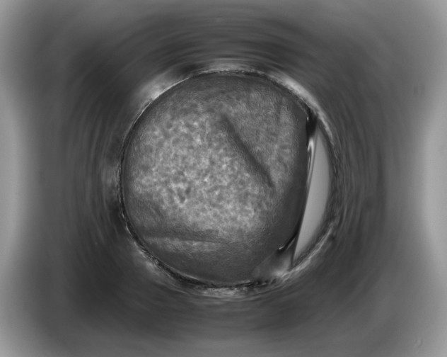 X0000086760937200704271727