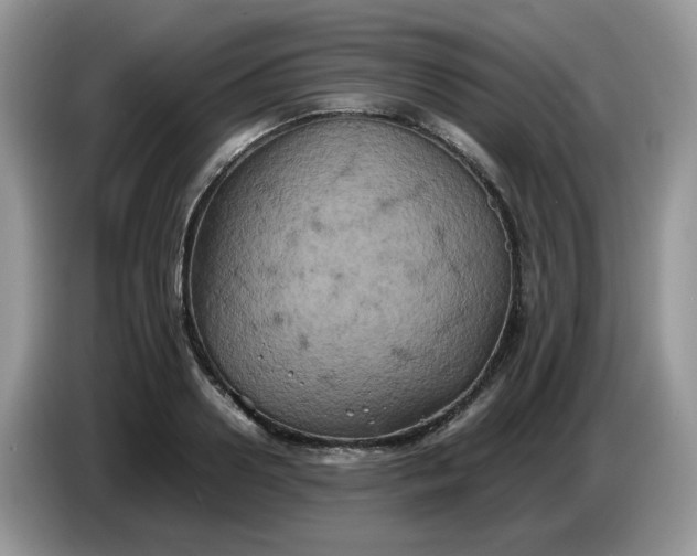 X0000086760938200704271727