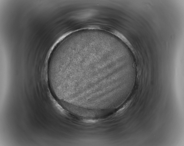 X0000086760939200704271727