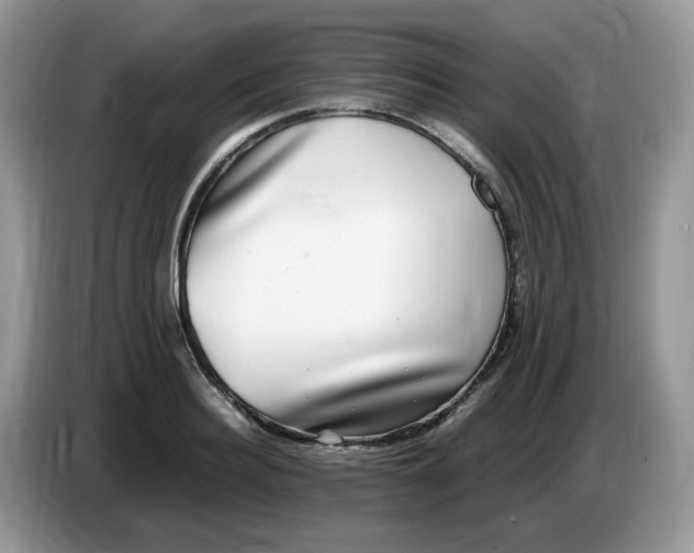 X0000086760940200704271727