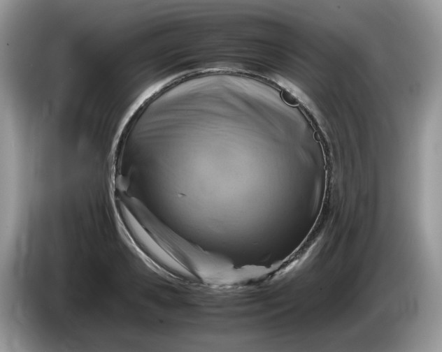 X0000086760941200704271727