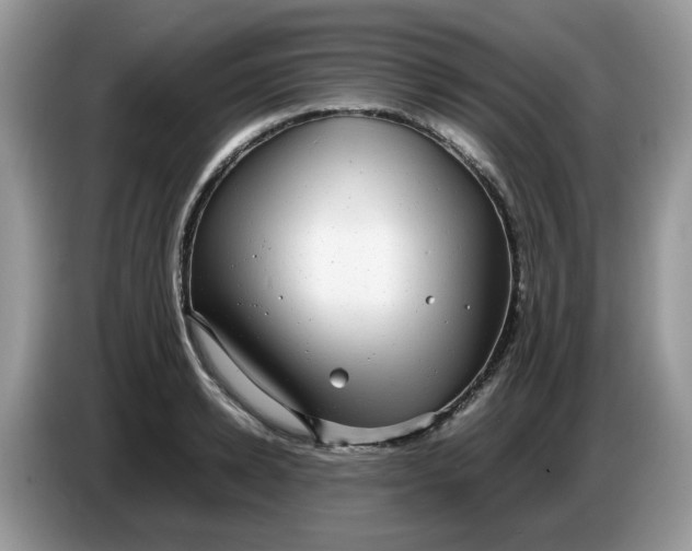 X0000086760942200704271727