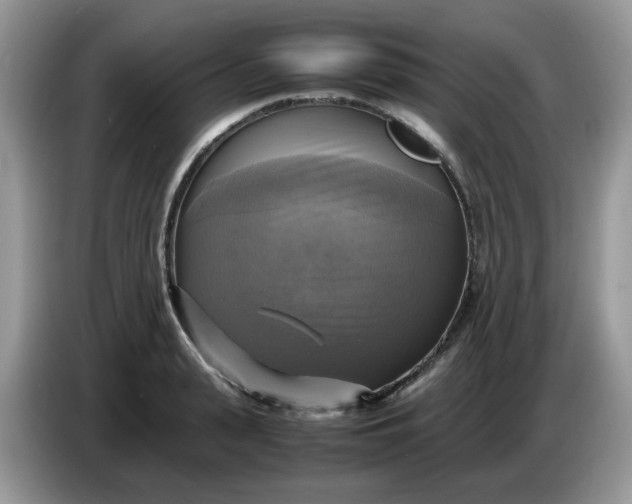 X0000086760943200704271727