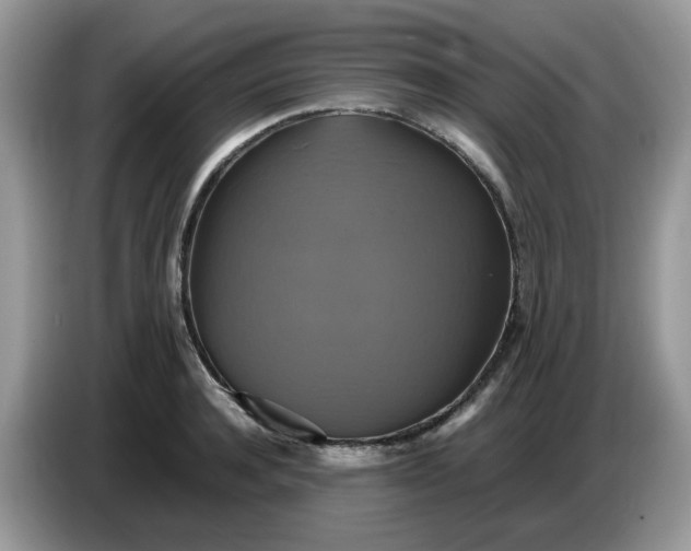 X0000086760944200704271727