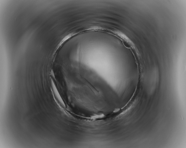 X0000086760945200704271727