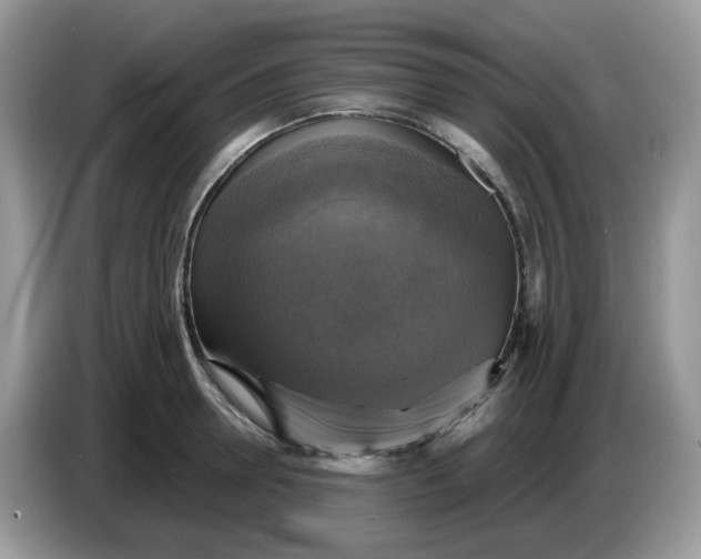 X0000086760946200704271727