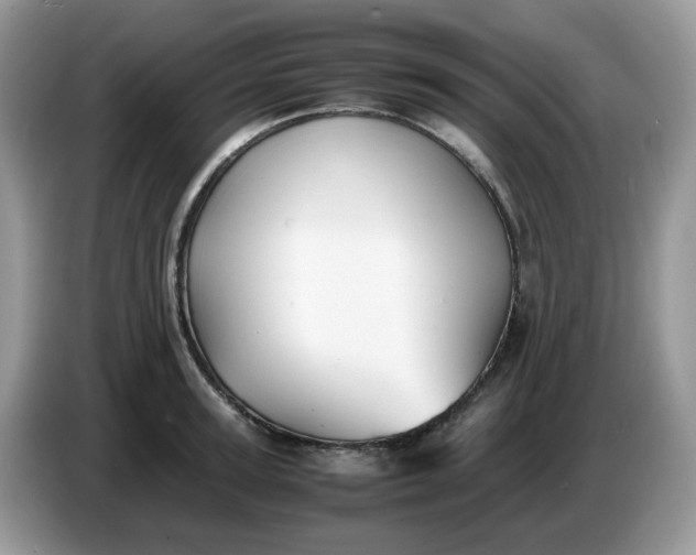 X0000086760947200704271727