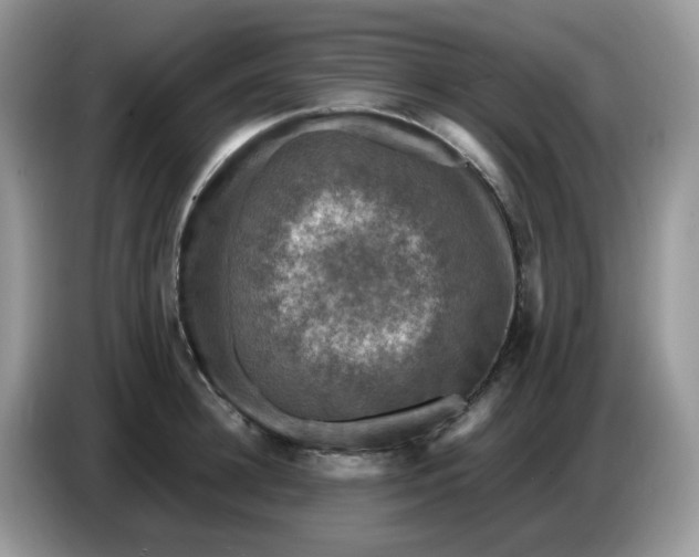 X0000086760948200704271727