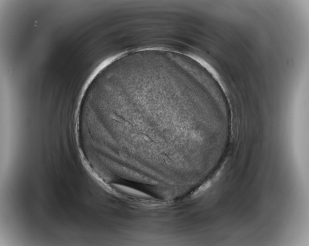 X0000086760949200704271727