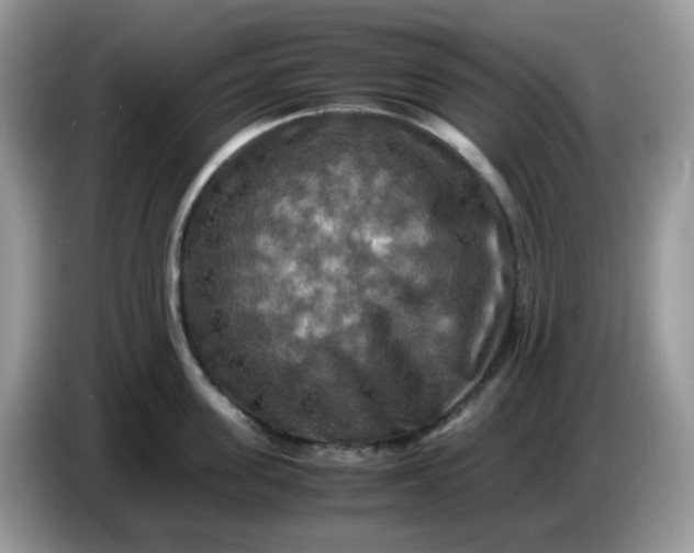 X0000086760955200704271727