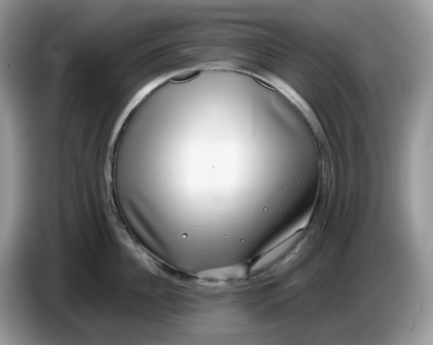 X0000086760956200704271727