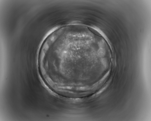 X0000086760957200704271727