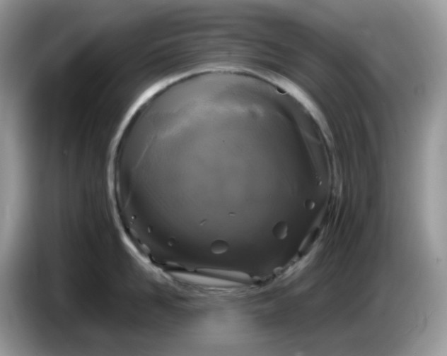 X0000086760958200704271727