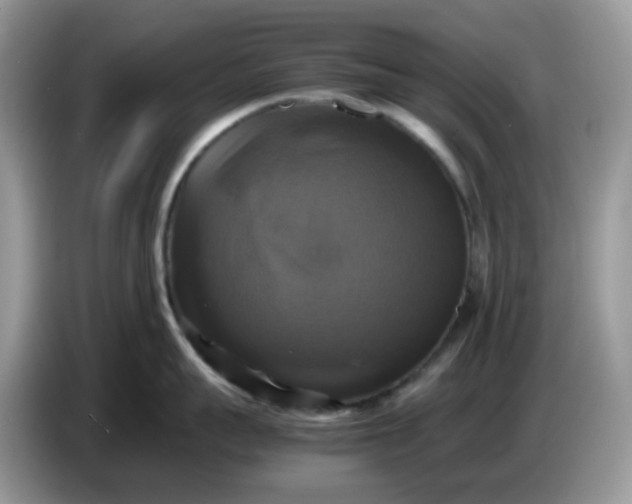 X0000086760959200704271728