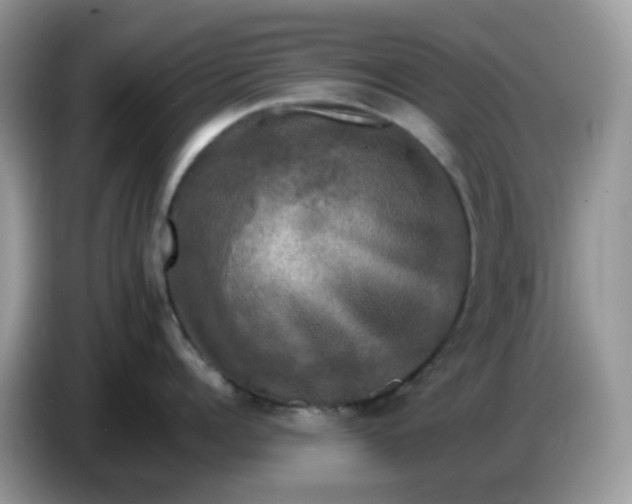 X0000086760960200704271728