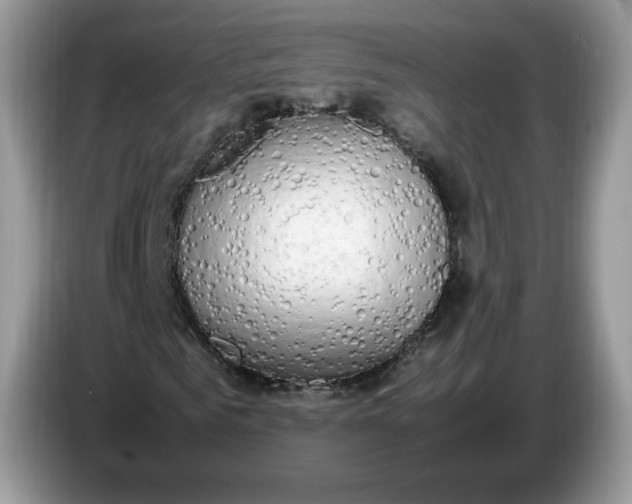 X0000086760961200704271727