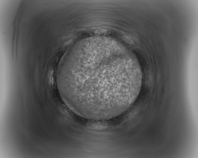 X0000086760962200704271727