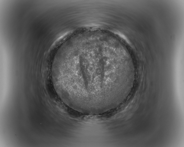 X0000086760967200704271727