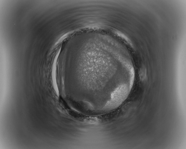 X0000086760968200704271727