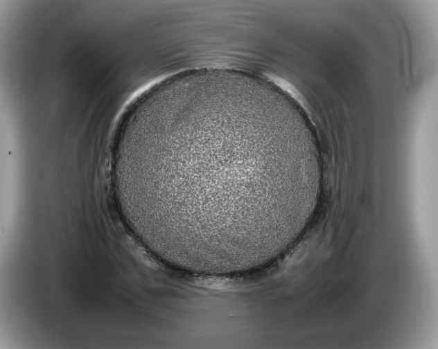 X0000086760971200704271727