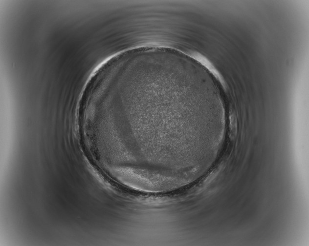 X0000086760972200704271727