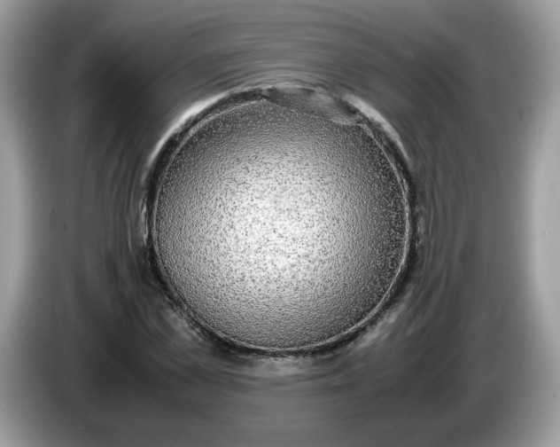 X0000086760973200704271727