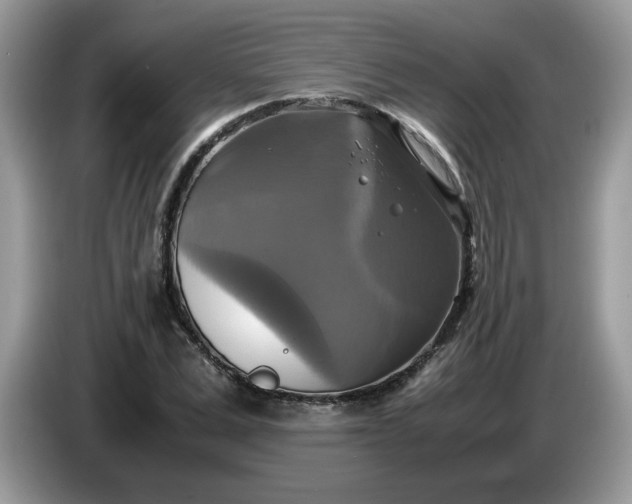 X0000086760975200704271727