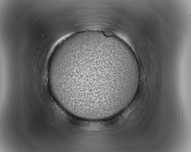 X0000086760979200704271727