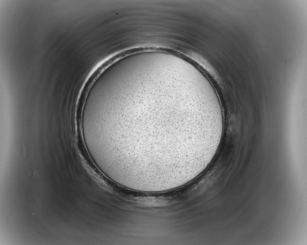 X0000086760980200704271727