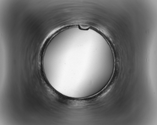 X0000086760981200704271727