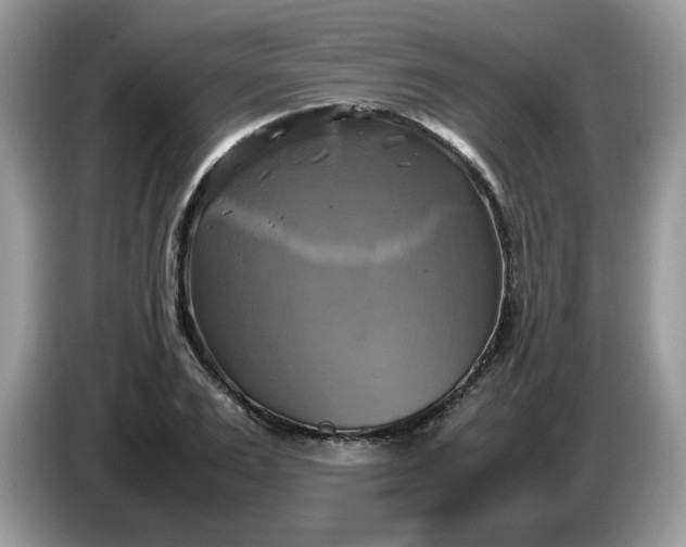 X0000086760983200704271727