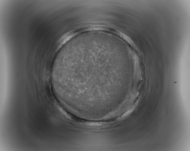 X0000086760985200704271727