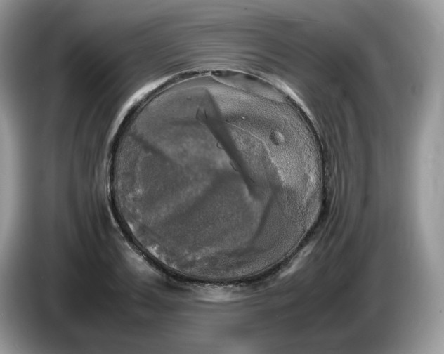 X0000086760987200704271727