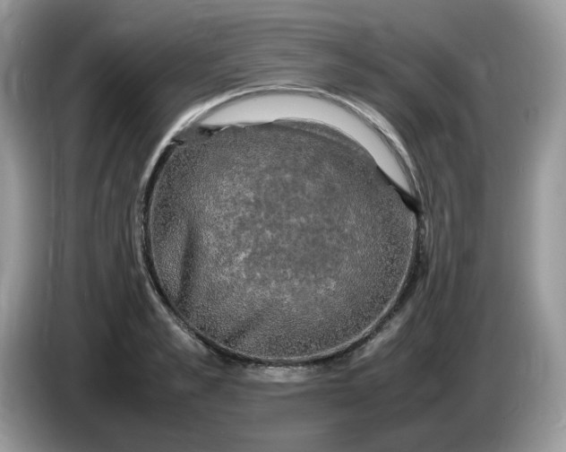 X0000086760989200704271727