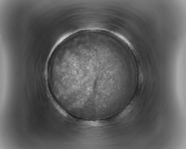 X0000086760990200704271727