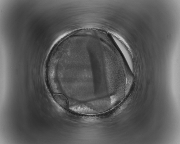 X0000086760991200704271727