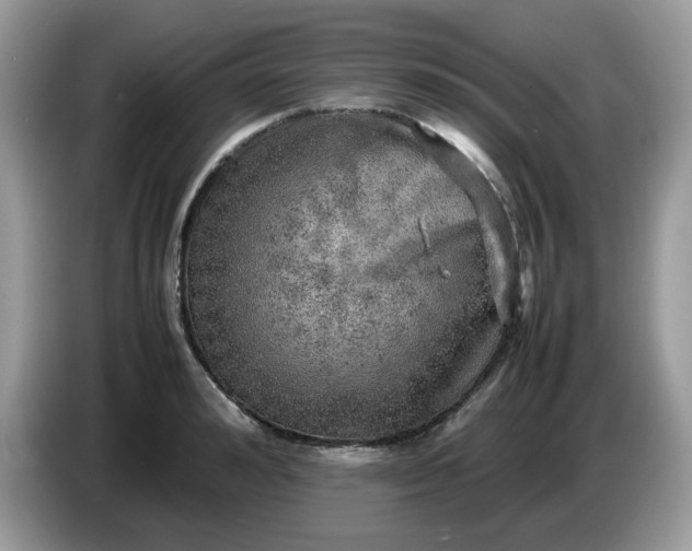 X0000086760992200704271726