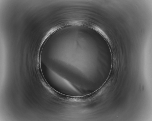 X0000086760994200704271726