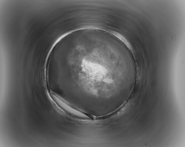 X0000086760996200704271726