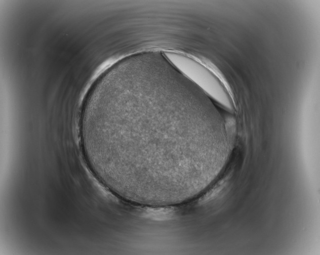 X0000086760997200704271726