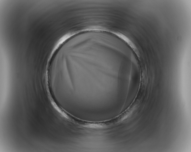 X0000086760998200704271726