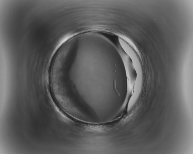 X0000086760999200704271726