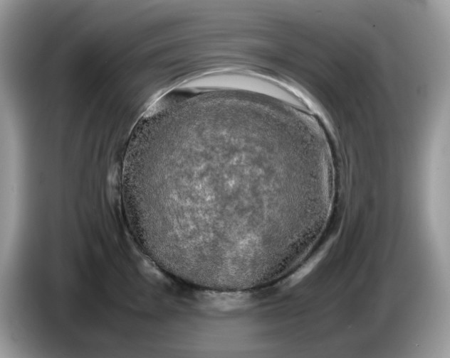 X0000086761001200704271726