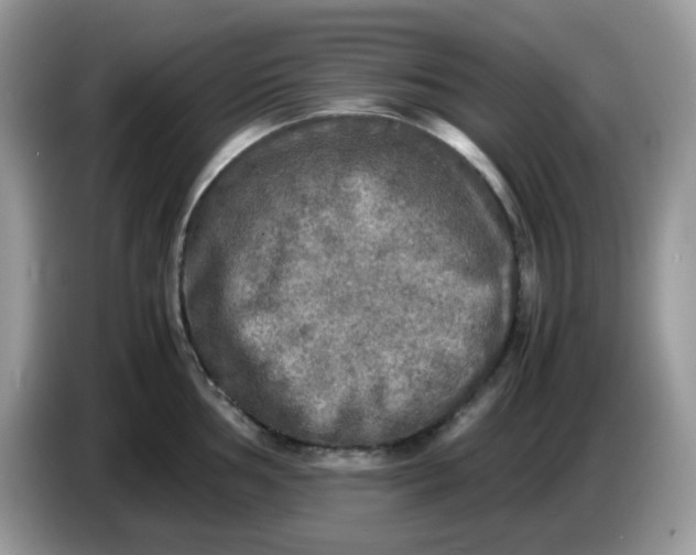 X0000086761002200704271726